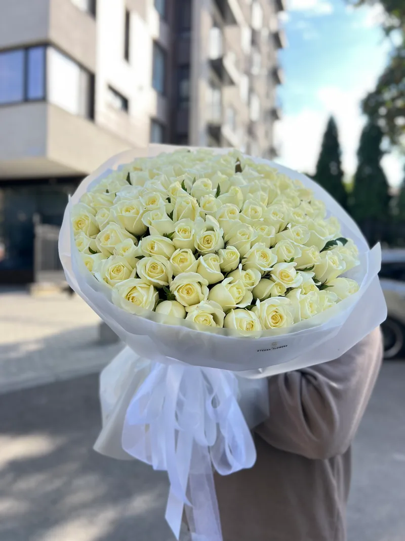 101 trandafiri albi 50 cm (moldovenești)