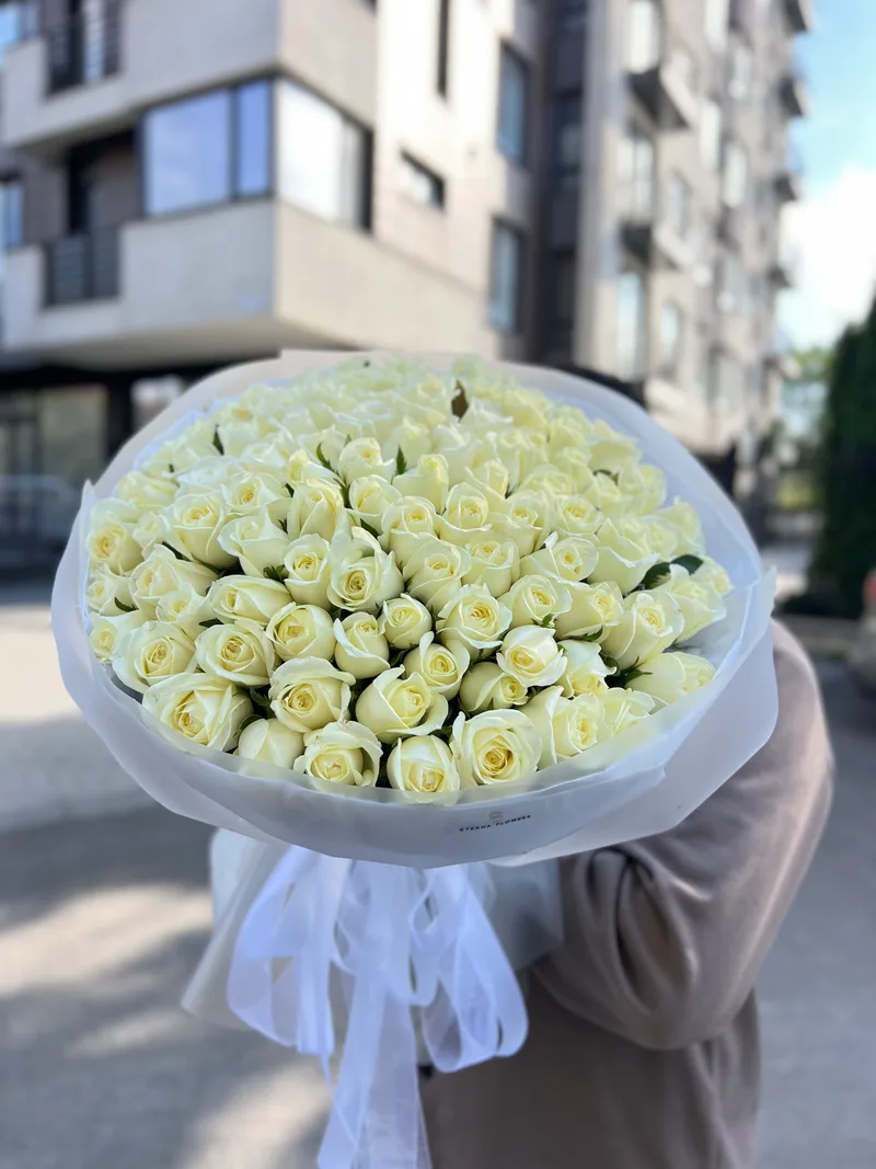 101 trandafiri albi 50 cm (moldovenești)