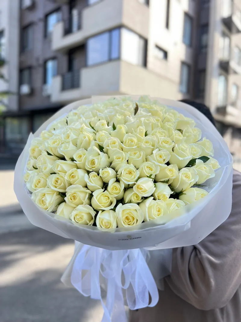 101 trandafiri albi 50 cm (moldovenești)