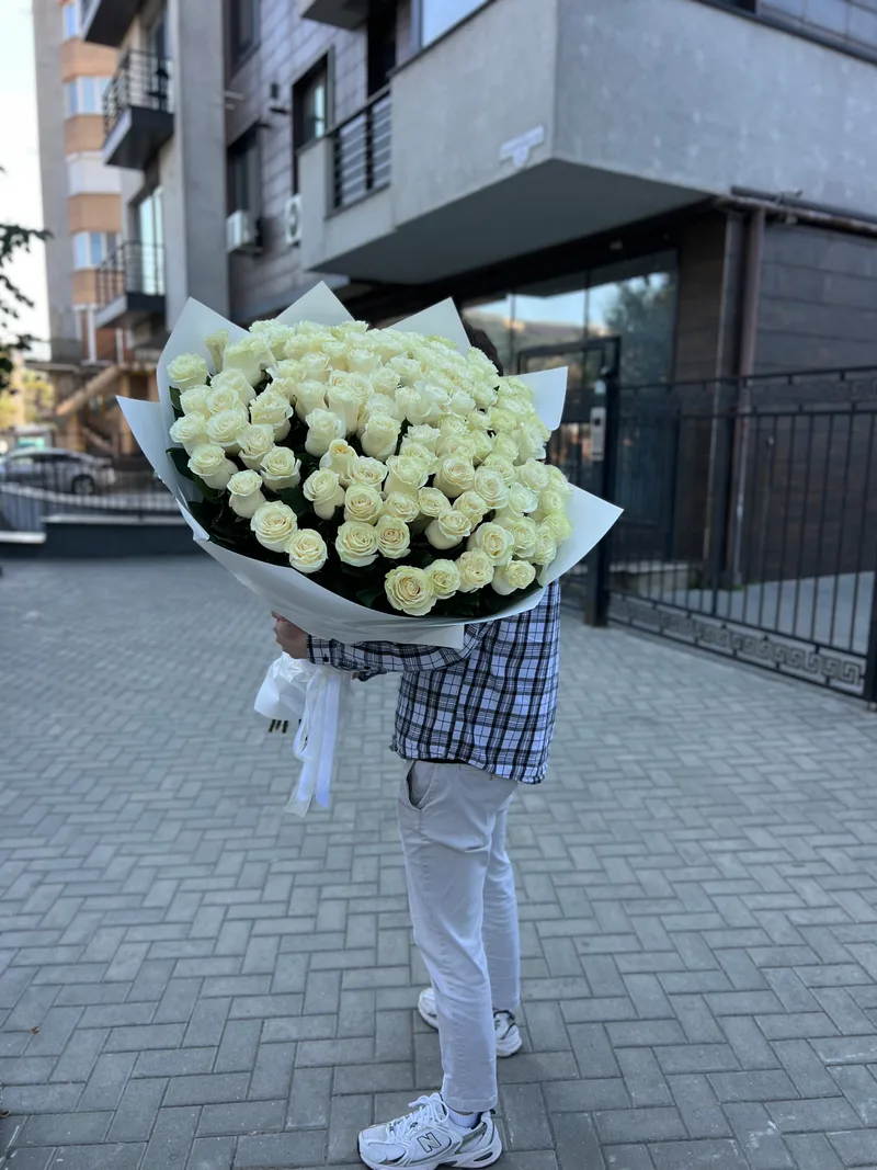 101 trandafiri albi 100 cm (olandezi)