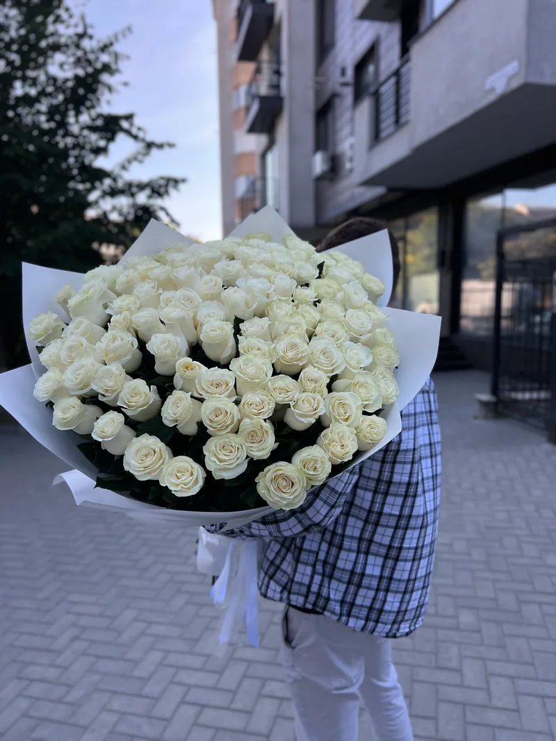 101 trandafiri albi 100 cm (olandezi)