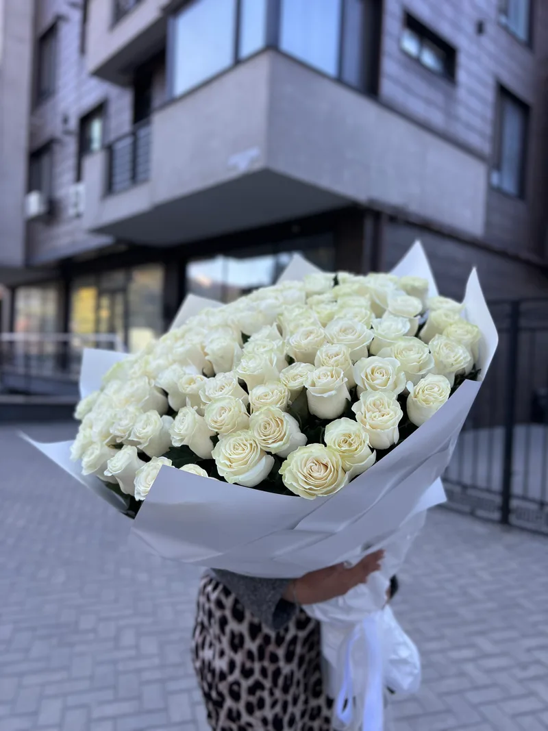 101 trandafiri albi 100 cm (olandezi)