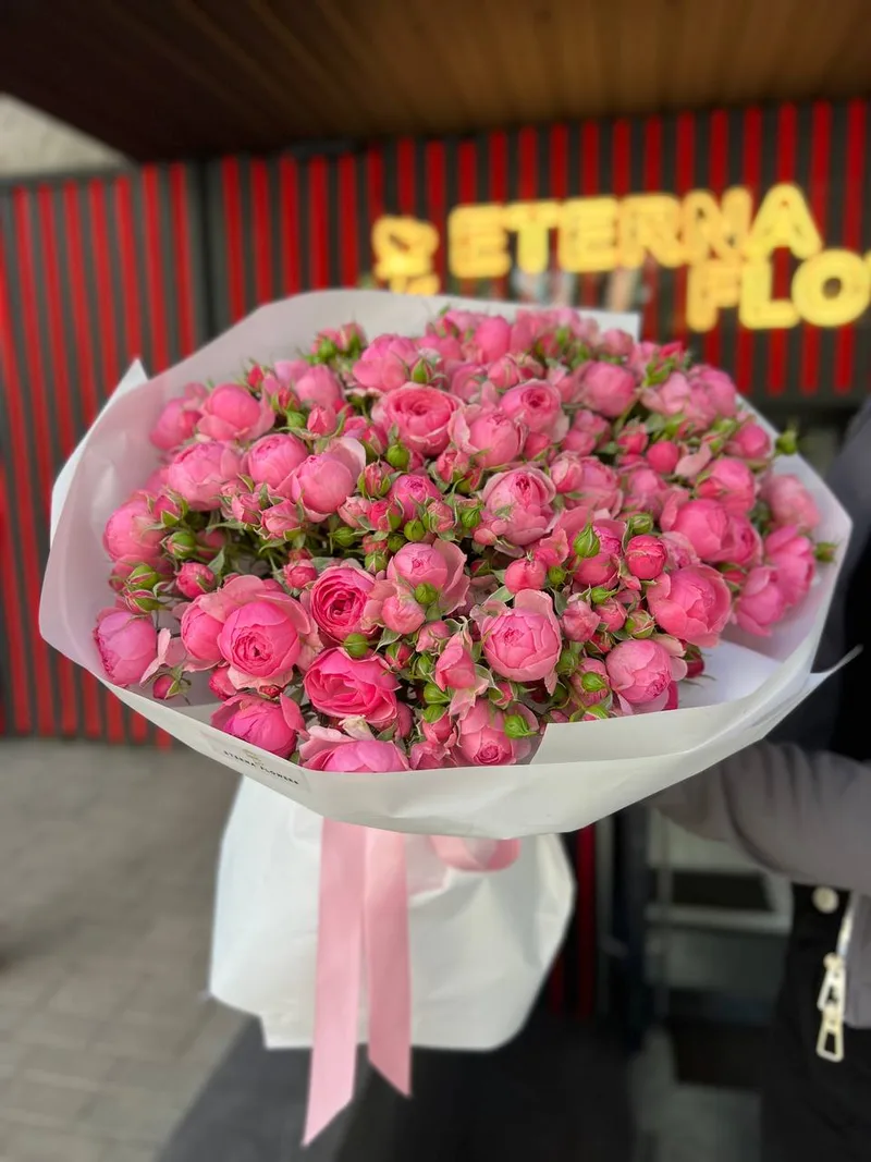 51 crenguțe “Pomponella"